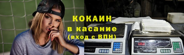 гашик Тайга