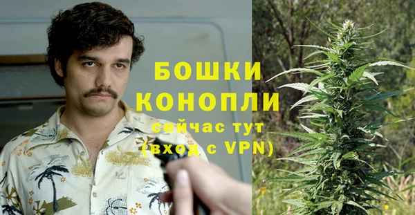 гашик Тайга