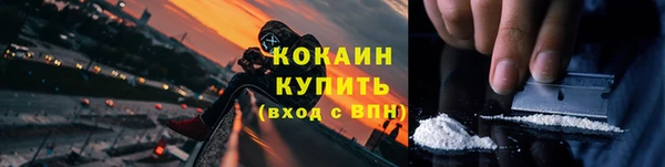 гашик Тайга