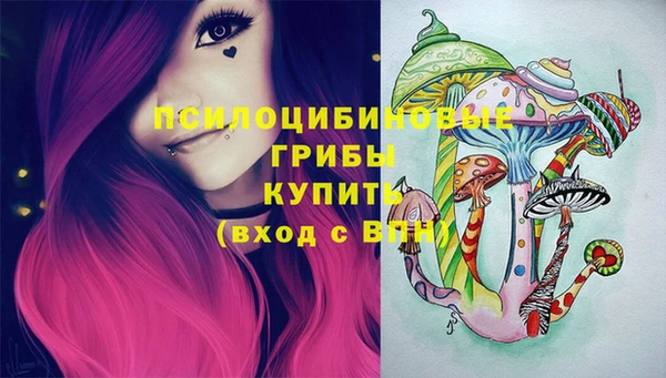 не бодяженный Строитель