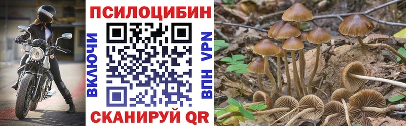 Купить где  Рославль  Галлюциногенные грибы Psilocybine cubensis 